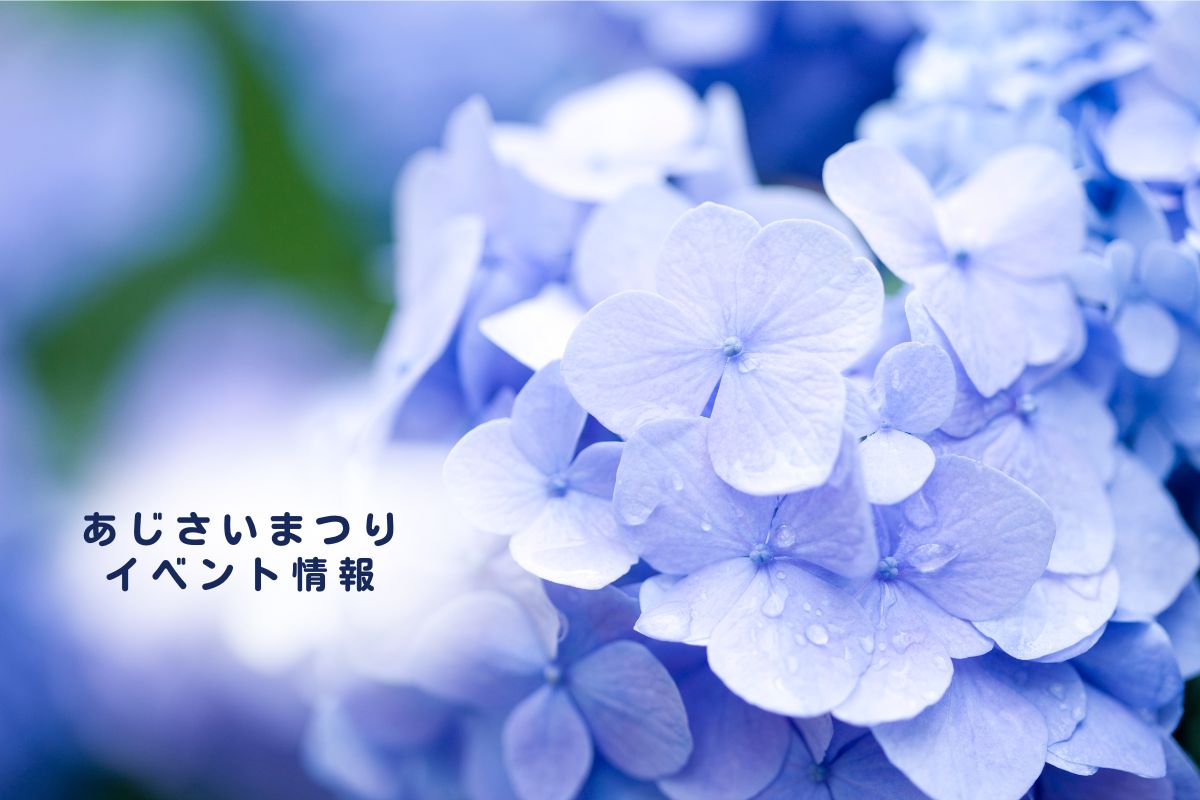 あじさいまつり・イベント 2025 一覧